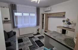 Camera camin, 17 mp, zona Bularga