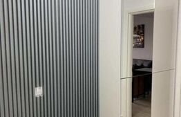 Apartament 1 camera, 46 mp, zona Tatarasi