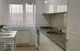 Apartament 1 camera, 46 mp, zona Tatarasi