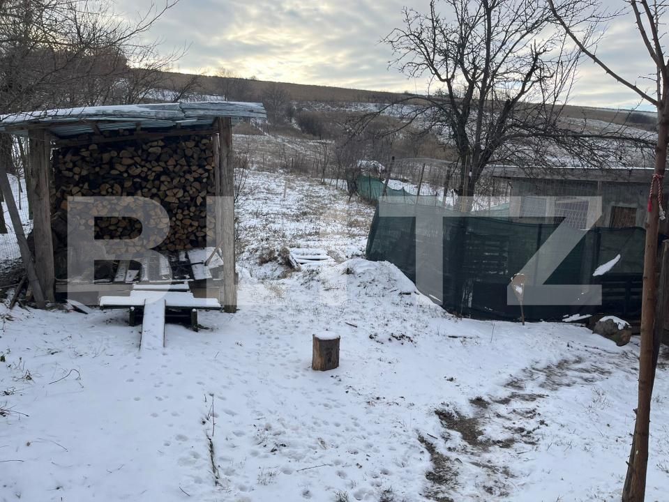 Casa de vânzare 4 camere Vanatori - 185063CV | BLITZ Iași | Poza5