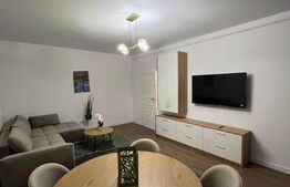 Apartament 2 camere, 45 mp, zona Tatarasi 