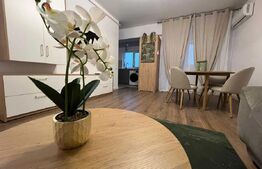 Apartament 2 camere, 45 mp, zona Tatarasi 