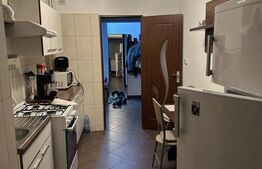 Apartament 2 camere, 50 mp + balcon 22 mp, zon Podu de Fier