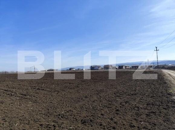 Teren de vânzare Valea Lupului - 185199TV | BLITZ Iași | Poza2