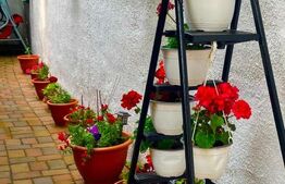 Casa superba 6 camere, 240 mp, zona Bucium