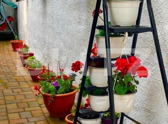 Casa de vânzare 6 camere Bucium - 185416CV | BLITZ Iași | Poza12