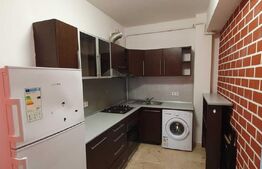 Apartament 2 camere, 68 mp, zona Palas