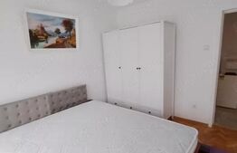 Apartament 2 camere, 50 mp, zona Tatarasi