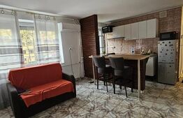 Apartament 2 camere, 50 mp, zina Centru -Pizza Mamma Mia 