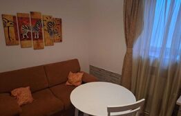 Apartament 1 camera, 40 mp, zona Copou - Universitate