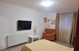 Apartament 1 camera, 40 mp, zona Copou - Universitate