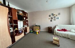 Casă individuală P+M, 126 mp, zona Miroslava - sat Balciu