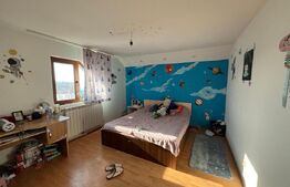 Casă individuală P+M, 126 mp, zona Miroslava - sat Balciu