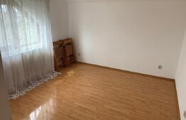 Casă individuală P+M, 126 mp, zona Miroslava - sat Balciu