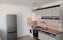 Apartament cu 2 camere la casă, 46 mp - Iași, CUG-Aleea Tudor Neculai