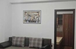 Apartament 2 camere, 50 mp, zona Pacurari
