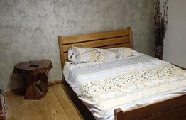 Casă 4 camere, 180 mp, zona Exterior Est - Răducăneni