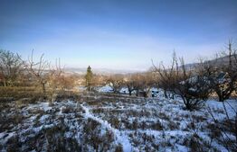 Casă 4 camere, 180 mp, zona Exterior Est - Răducăneni