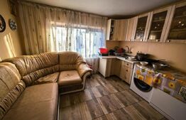 Casă 4 camere, 180 mp, zona Exterior Est - Răducăneni