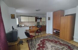 Apartament 1 camera, 35 mp, zona Frumoasa/Poitiers