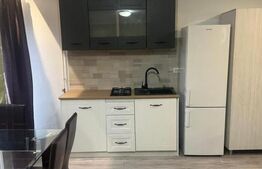 Apartament o cameră, 50 mp, zona Splai Bahlui