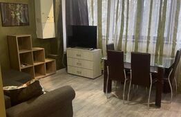 Apartament o cameră, 50 mp, zona Splai Bahlui