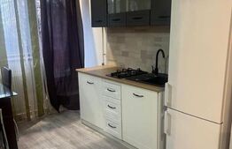 Apartament o cameră, 50 mp, zona Splai Bahlui