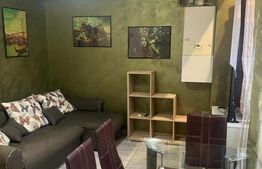 Apartament o cameră, 50 mp, zona Splai Bahlui