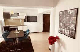 Apartament 2 camere, 55 mp, zona Palas 
