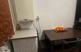 Apartament 1 camera, 27.57 mp, zona Galata