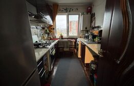 Apartament 2 camere, 48 mp, zona Podu Roș 