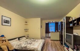 Garsoniera de închiriat, 30 mp, zona Tatarasi - Flora