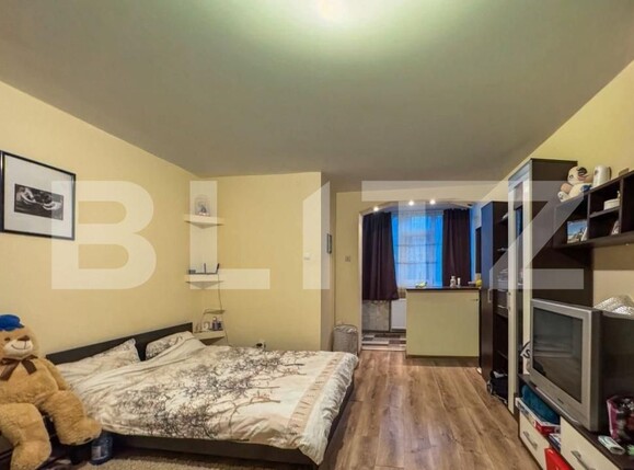 Garsonieră de închiriat Tatarasi - 186782AI | BLITZ Iași | Poza1