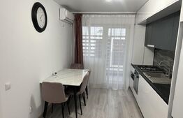 Apartament 1 camera, 43 mp, zona Copou