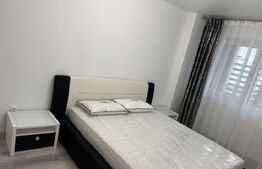 Apartament 1 camera, 43 mp, zona Copou