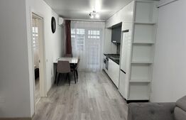 Apartament 1 camera, 43 mp, zona Copou