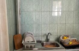 Apartament 1 cameră, 22.19 mp, zona Alexandru Cel Bun 