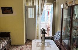 Apartament 1 cameră, 22.19 mp, zona Alexandru Cel Bun 