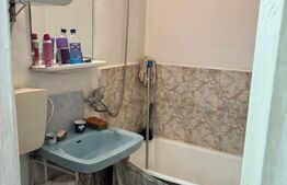 Apartament 1 cameră, 22.19 mp, zona Alexandru Cel Bun 