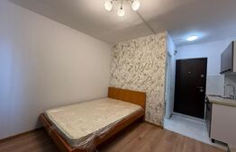 Camera de camin, 17 mp, zona Bularga