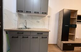 Camera de camin, 17 mp, zona Bularga