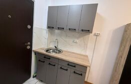 Camera de camin, 17 mp, zona Bularga