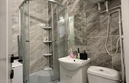 Camera de camin, 17 mp, zona Bularga