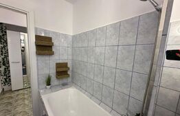 Apartament 2 camere, 50 mp, zona Podu Ros - Central