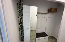 Apartament 2 camere, 50 mp, zona Podu Ros - Central