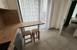 Apartament 2 camere, 53.90 mp, Silk District, Baza 3
