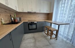 Apartament 2 camere, 53.90 mp, Silk District, Baza 3