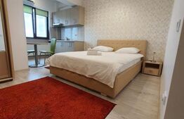 Garsonieră de vânzare Tatarasi - 188387AV | BLITZ Iași | Poza4