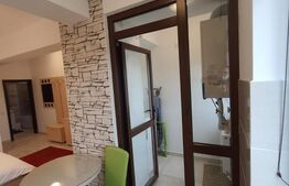 Garsoniera de vanzare, 25.86 mp, zona Central 