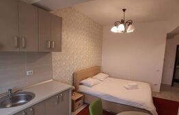 Garsoniera de vanzare, 25.86 mp, zona Central 